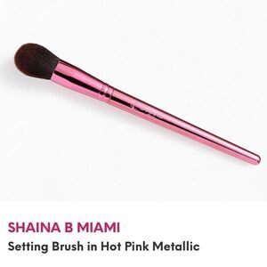 NEW … SHAINA B MIAMI Setting Brush